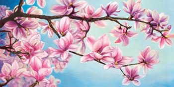 Lamina - Magnolia in fiore