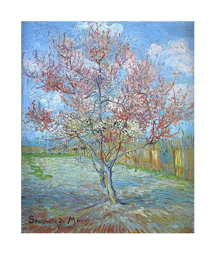 Vincent Van Gogh  Duraznero en Flor