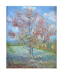 Vincent Van Gogh  Duraznero en Flor Enmarcado de laminas