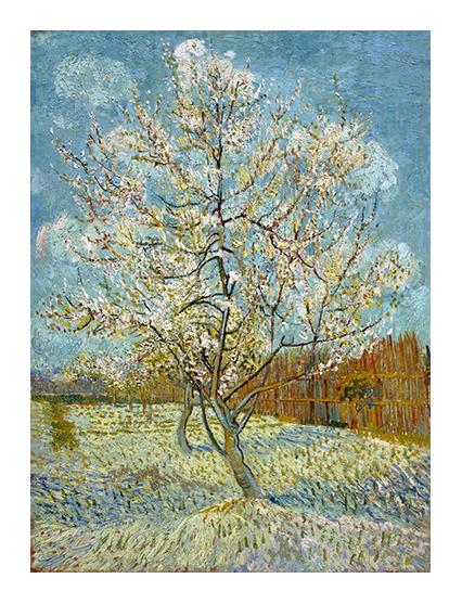 Vincent Van Gogh  Duraznero Rosado