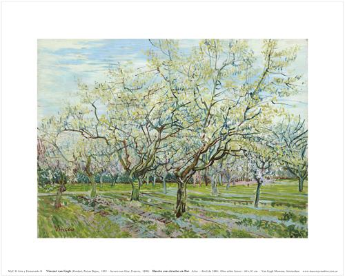 Vincent Van Gogh Ciruelos en Flor