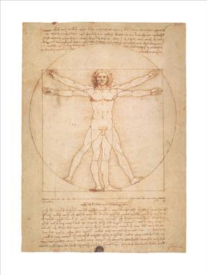 Lamina - Vitruvian man
