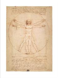 Lamina - Vitruvian man Enmarcado de cuadros