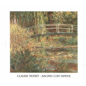 Lamina - Bacino con Ninfee