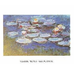 Lamina - Glia Agapanti Enmarcado de laminas