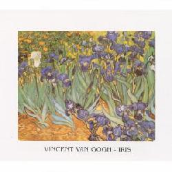 Lamina - Iris Enmarcado de cuadros