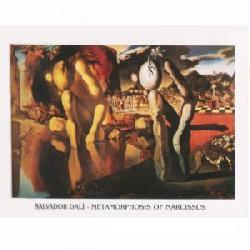 Lamina - Metamorphosis of Narcisus Enmarcado de cuadros