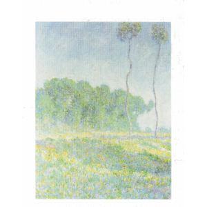 Lamina - Paysage de Printemps