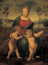 Lamina - Madonna del cardellino Enmarcado de cuadros