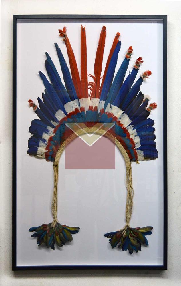 Enmarcado sombrero de plumas