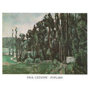Lamina - Poplars