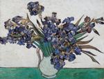 Lamina - Iris Nel Vaso