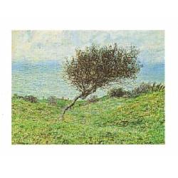 Lamina - Sea Coast at Trouville Enmarcado de laminas