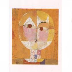 Lamina - Senecio Marcos y Cuadros