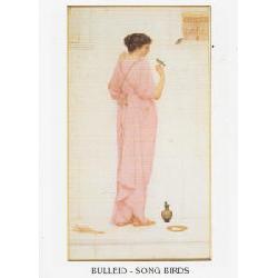 Lamina - Song Birds Enmarcado de cuadros