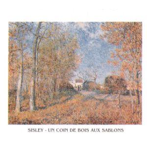 Lamina - Un Coin de Bois aux Sablons