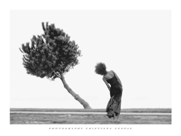 Lamina - The Tree