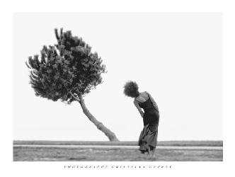 Lamina - The Tree Enmarcado de cuadros