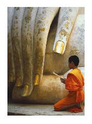 Lamina - The Hand of Buddha Enmarcado de laminas