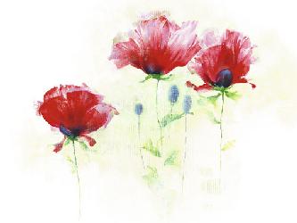 Lamina - Red Poppies II Enmarcado de cuadros