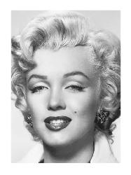 Lamina - Marilyn Portrait  Enmarcado de cuadros