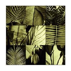 Lamina - Tropical Leaves I Enmarcado de laminas