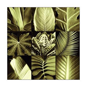 Lamina - Tropical Leaves II