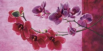 Lamina - Composizione di orchidee Enmarcado de laminas