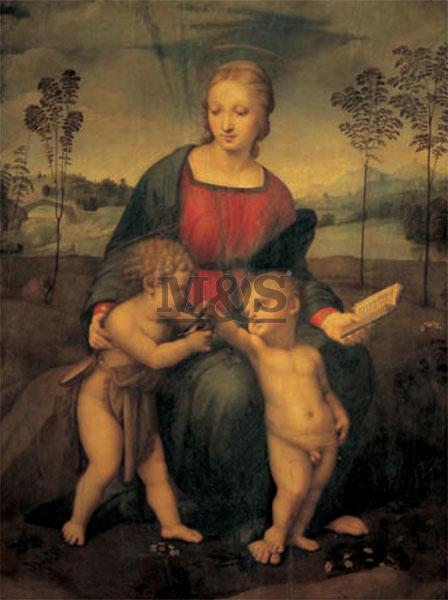 Lamina - Madonna del cardellino